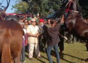 Gubernur NTB Ajak Menhan Prabowo Subianto Melihat Kuda Sumbawa 