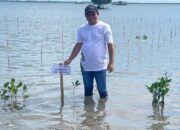 Ketua DPRD Sumbawa: Tanam Mangrove Cara Kita Jaga Lingkungan dan Ekosistem Laut