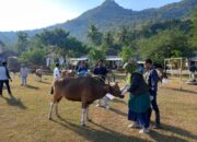 Polres Sumbawa Barat Bagikan 53 Hewan Kurban kepada Pengurus Masjid