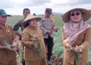 Kementan RI Kucurkan Program UPLAND untuk Sumbawa