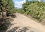 5 Tahun Sudah, Jalan Simpang Sebasang – Batu Tering Rusak Parah, Rawan Lakalantas