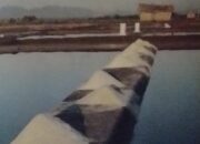 Kepala DKP: Produksi Garam di Sumbawa Capai 6 Ribu Ton, Ini 4 Desa Sentra Produksi Garam