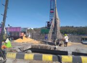 Biji Jagung Sumbawa Penuhi Kebutuhan Pakan dalam Negeri 