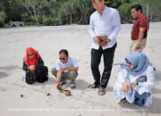Bupati KSB Lepas 244 Tukik di Pantai Lawar Sekongkang