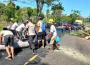 Buahnya Jatuh dan Timpa Kepala Pelajar, Pohon Kelapa ini Langsung Ditebang oleh Polisi dan Warga