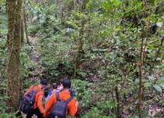 Saepudin Ditemukan Tim SAR Gabungan di Hutan Ponto Uha Ropang