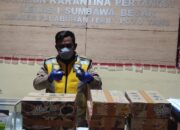 Karantina Pertanian Sumbawa Gagalkan Penyelundupan 96 Ekor Burung Cendet