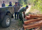 Patroli Gabungan TNI dan BKPH Batulanteh Berantas Ilegal Loging