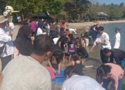 Berdiri 6 Tahun Lalu, Begini Lika Liku Oi Petruk dan Sumbawa Grow Up Berjuang Perbaiki Terumbu Karang Akibat Bom Ikan