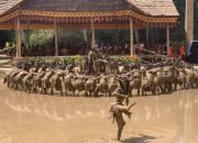 Tidak Dilaksanakan Secara Kontinu, Festival Taliwang Dicoret dari Event Pariwisata Nasional