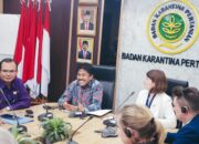 Karantina Pertanian Buka Kembali Pintu Impor Sapi Asal Australia