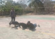 Melintas di Depan Polsek Utan Bawa “Pedang” Tiga Pelajar Diamankan