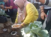 Program Pemerintah Pengurangan Sampah Kolaboratif, untuk Ciptakan Lingkungan Bersih dan Sehat