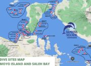 Ini 40 Keajaiban Bawah Laut Sumbawa, Surga Diving yang Harus Dikunjungi