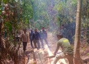 Operasi Bersama TNI POLRI dan KPH Berhasil Ungkap Kayu Ilegal di Hutan Lamede Marente