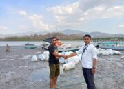 Pemerintah Kucurkan Dana Rp14,3 Miliar Untuk Nelayan, Bupati Sumbawa: Program Unggulan di Sektor Perikanan