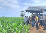 Kapolres Tinjauan Lokasi Sengketa Lahan PT. SBS di Desa Plampang