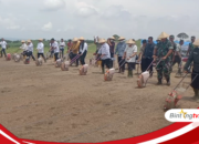 Bupati dan Wakil Bupati Sumbawa Dampingi Menteri Pertanian RI Tanam Jagung di Samota