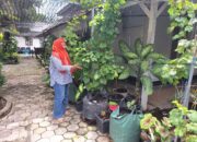 Mengurus Tanaman, Memasak Hingga Beternak, Cara Wabup Sumbawa Isi Liburan Bersama Keluarga