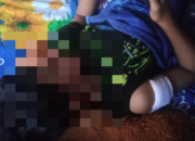 Empat Warga Terluka Akibat Digigit Anjing di Peternakan Ayam Petelur Moyo Hulu