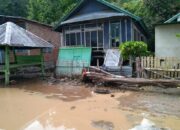 Puluhan Rumah dan 30 Hektare Sawah Terendam Banjir di Kalabeso