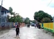 117 Rumah dan 50 Hektare Sawah di Dusun Ai Mual Labuhan Kuris Terendam Banjir