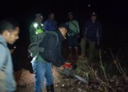Operasi Gabungan TNI-Polri dan Tim BKPH Amankan Kayu Hasil Illegal Logging di Desa Lenangguar