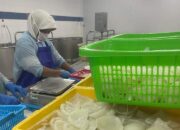 Dinas Kelautan dan Perikanan Kabupaten Sumbawa Tinjau Potensi Kerjasama dengan Perusahaan Pengolahan Ikan di Jakarta