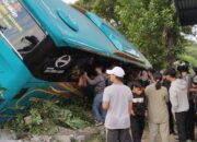 Bus Surya Kencana Terbalik di Peringgabaya Lotim