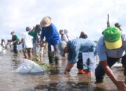 DLH Fokus Hijaukan Pesisir dengan Penanaman Mangrove Atasi Abrasi