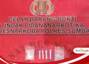 Dua Terduga Bandar dan Pengguna Sabu Dibekuk Anggota Satresnarkoba Polres Sumbawa