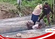Aksi Heroik Bripka Abdul Syahid, Jadikan Punggungnya Jembatan untuk Ibu dan Anak di Tengah Jalan Putus