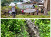 Liquifaksi di Batulanteh, 99 Jiwa Mengungsi