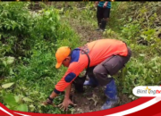Pergeseran Tanah di Tangkampulit, Ini Penjelasan Stasiun Geofisika BMKG 