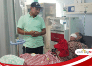 Waka DPRD KSB Desak Pemda Lakukan Pengendalian dan Pemusnahan Anjing Liar Pasca Serangan terhadap Lansia Disabilitas