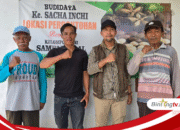 Waka I DPRD Sumbawa Hadiri Panen Perdana Komak Bintang, Dorong Pengembangan Pertanian Inovatif