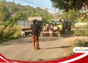Warga Benete Blokade Truk Batu Bara, Protes Tumpahan yang Sebabkan Kecelakaan