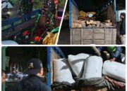 Truk Bermuatan Kayu Ilegal Disergap di Hutan Uma Buntar, Chainsaw & Kayu Olahan Diamankan