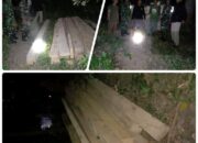 Lagi, Patroli Gabungan Sita Kayu Ilegal di Desa Pelat
