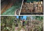 TNI dan KPH Ropang Amankan 4 Kubik Kayu Diduga Hasil Penebangan Ilegal di Lenangguar