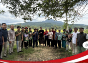Bulog Mulai Serap Gabah Petani di Kabupaten Sumbawa Barat, Capai 300 Ton