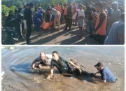 Mayat Mengapung di Sungai Tanjung Menangis, Warga Brang Biji Geger