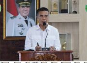Pemkab Sumbawa Intensifkan Penanganan Lahan Kritis, Ratusan Ribu Bibit Disebar ke 24 Kecamatan