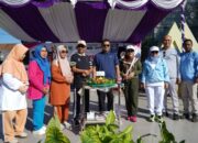 Waka III DPRD Sumbawa: Tingkatkan Pendidikan Bidan ke S1, Kunci Perkuat Layanan Kesehatan Masyarakat
