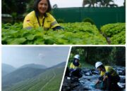 Di Balik Hijaunya Tambang Batu Hijau