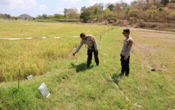 “Niat Usir Burung Berujung Maut, Petani di Serading Tewas Tersengat Listrik
