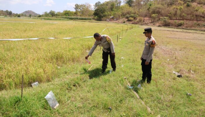 “Niat Usir Burung Berujung Maut, Petani di Serading Tewas Tersengat Listrik