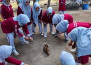 Bukan Sekadar Bermain, Outbound TP PKK Sumbawa Tanamkan Semangat Kerja Tim