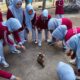 Bukan Sekadar Bermain, Outbound TP PKK Sumbawa Tanamkan Semangat Kerja Tim